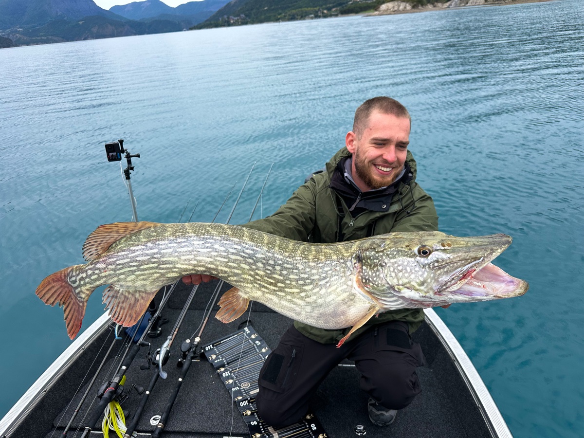Brochet des lacs du Verdon et des Alpes du Sud