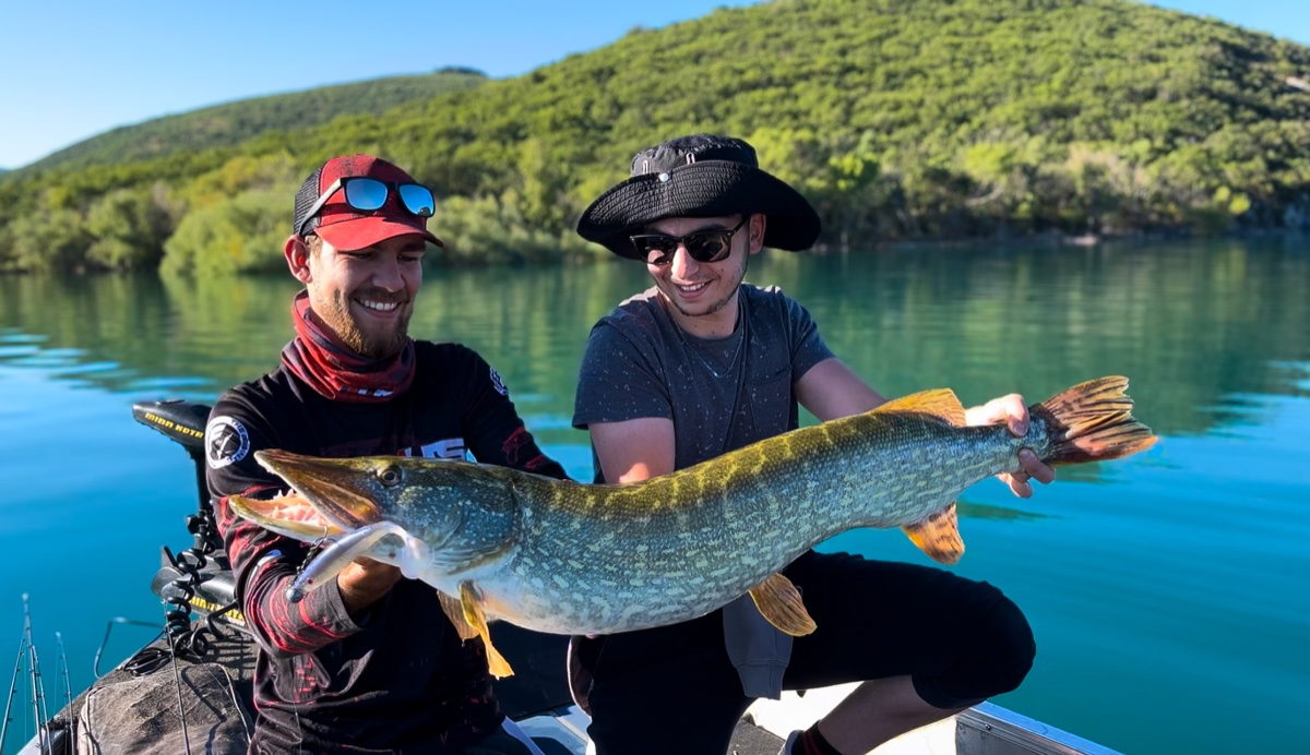 Brochet capturé lors d'une sortie guidée dans le Verdon